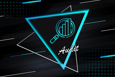 Аудит и консультации